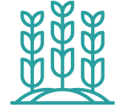 Agricultura