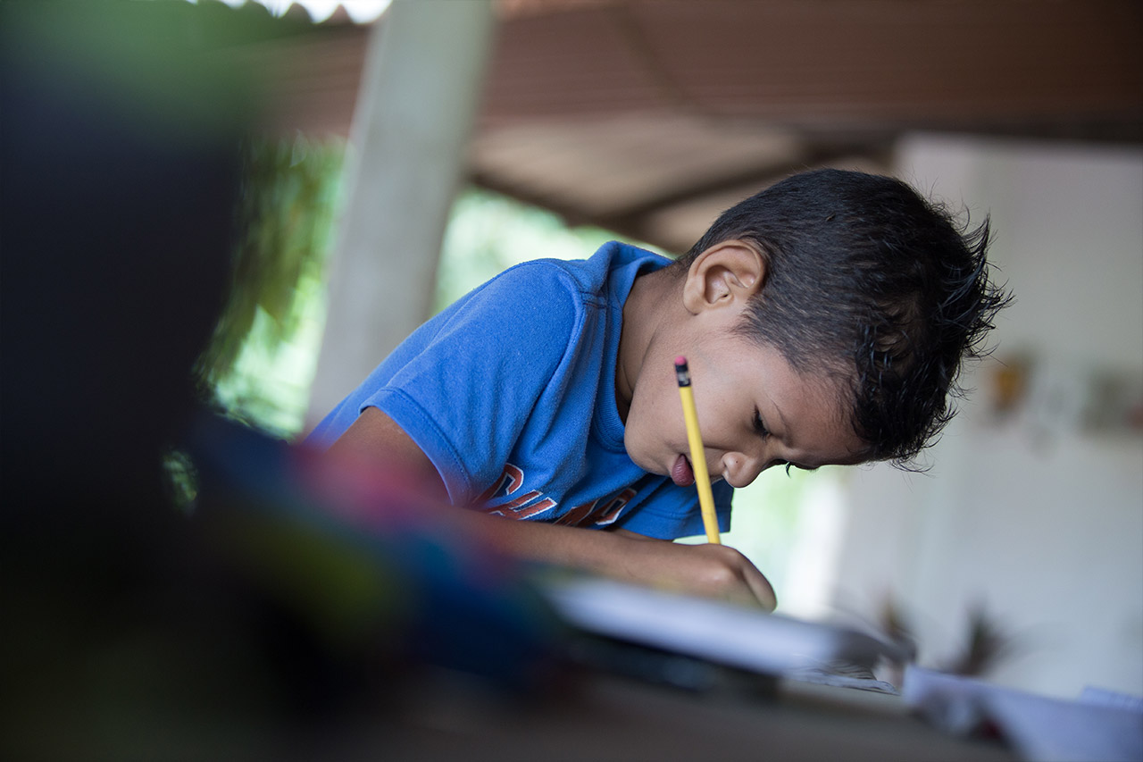  Educación