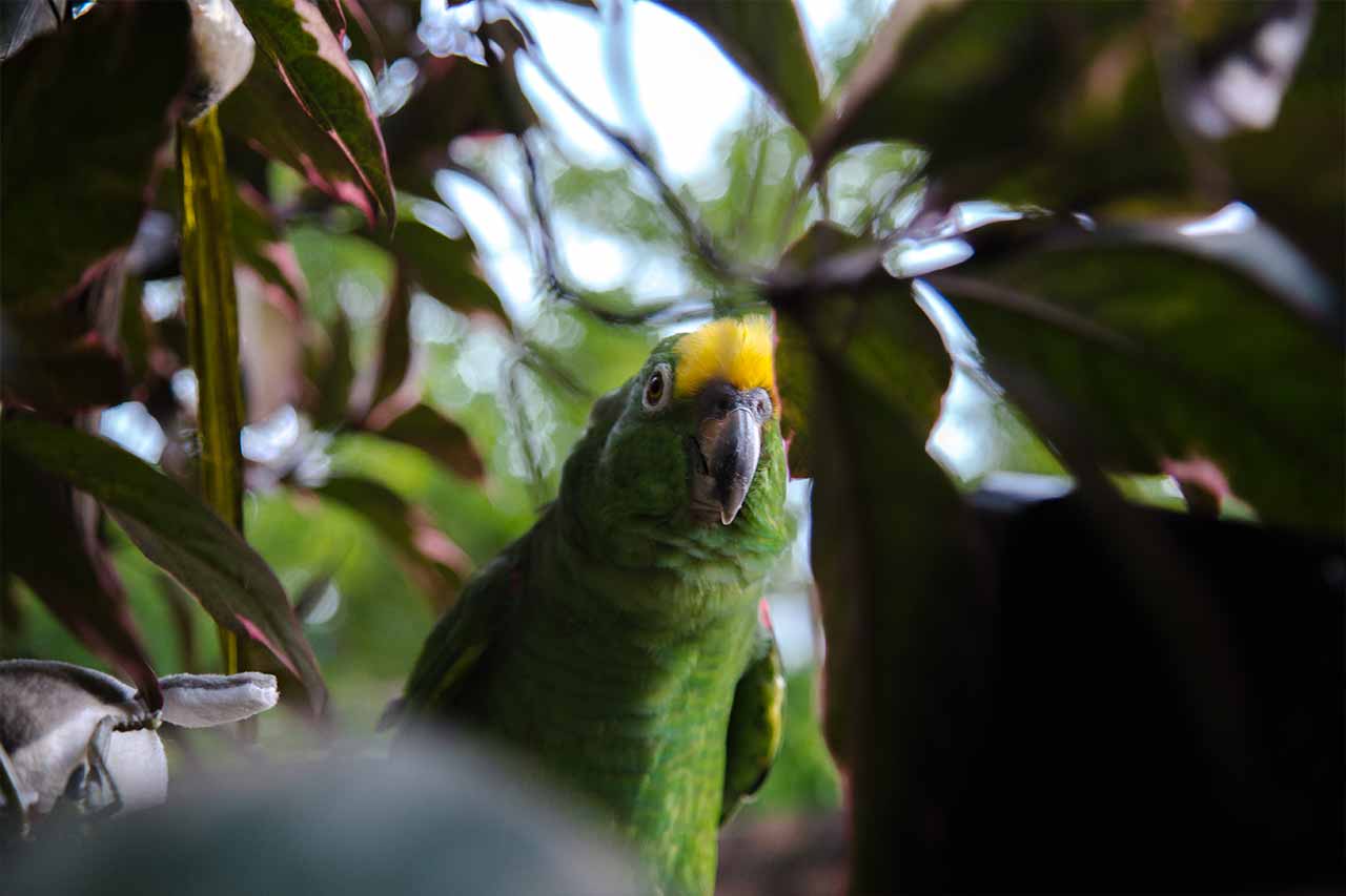  Medio Ambiente