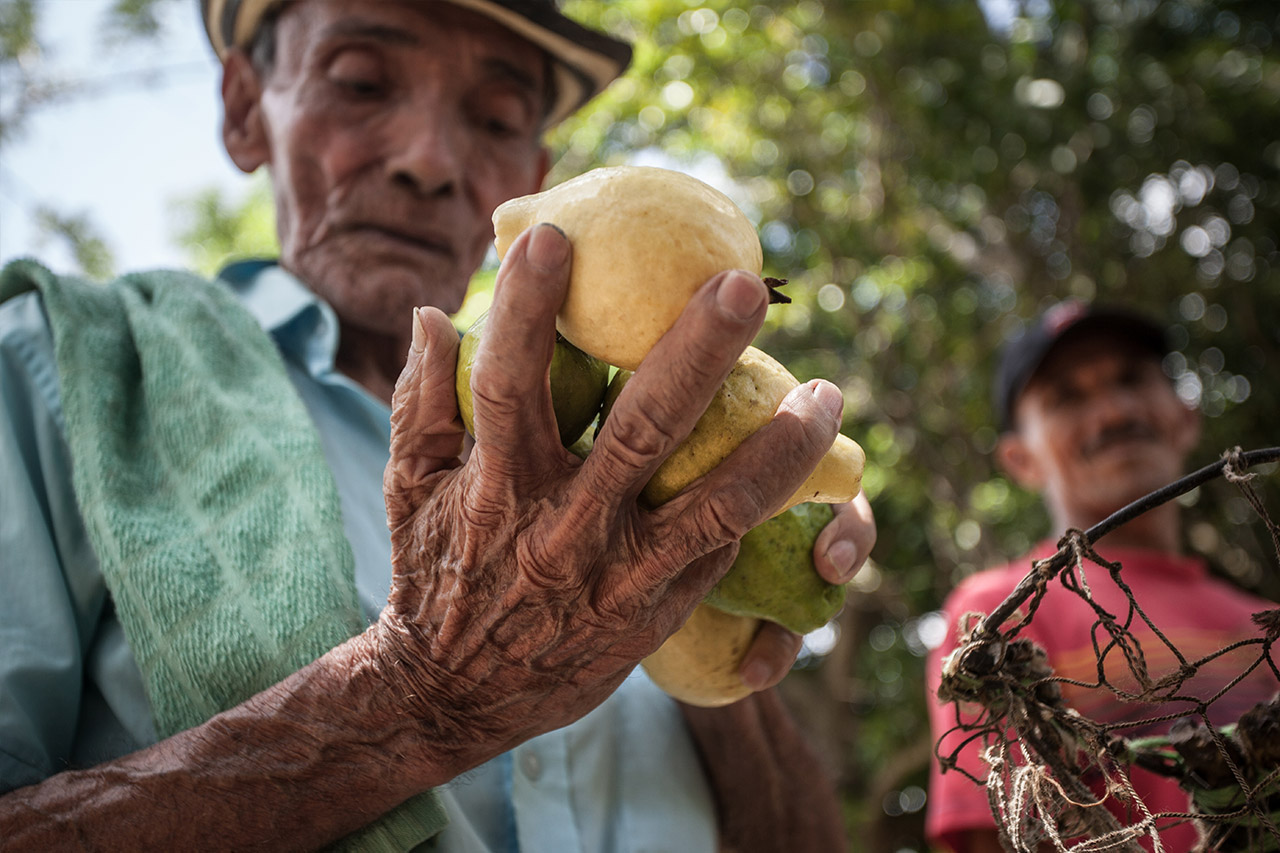  Agricultura